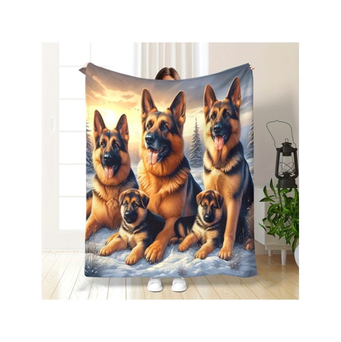 Beefsteak Tomato Premium 0104